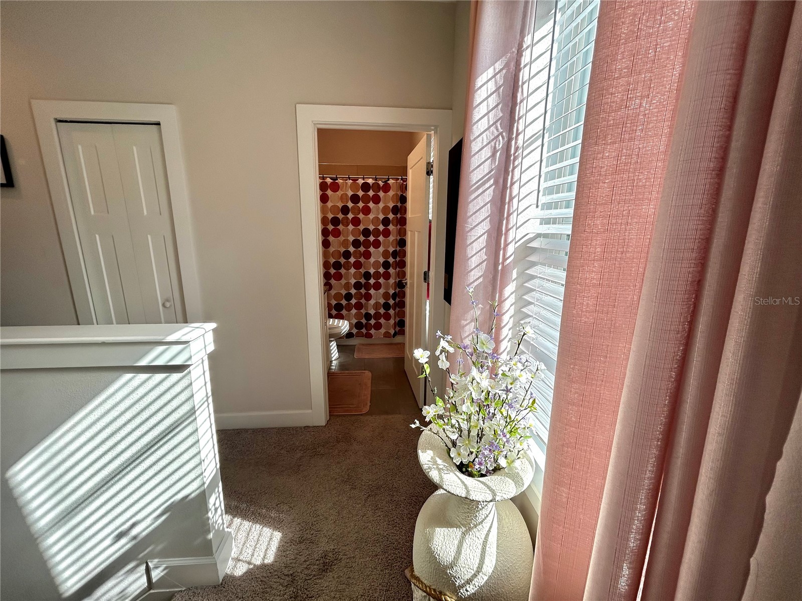 532 Jetstar Lane Oldsmar FL 34677 TB8487312 image22
