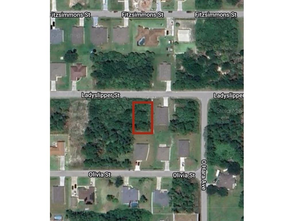 532 Ladyslipper St Sw Palm Bay FL 32908 S5121300 image1