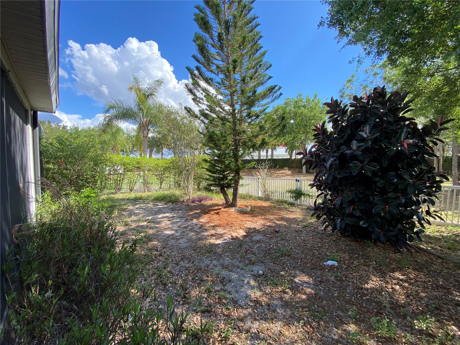 532 Manns Harbor Drive Apollo Beach FL 33572 P4938345 image26