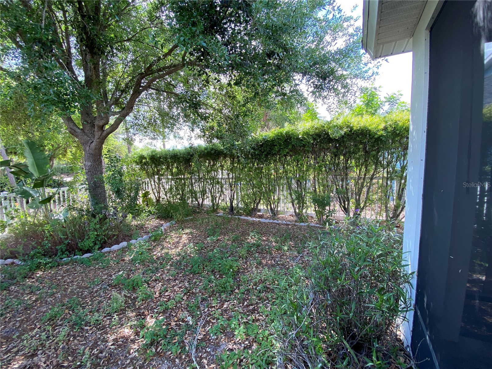 532 Manns Harbor Drive Apollo Beach FL 33572 P4938345 image27