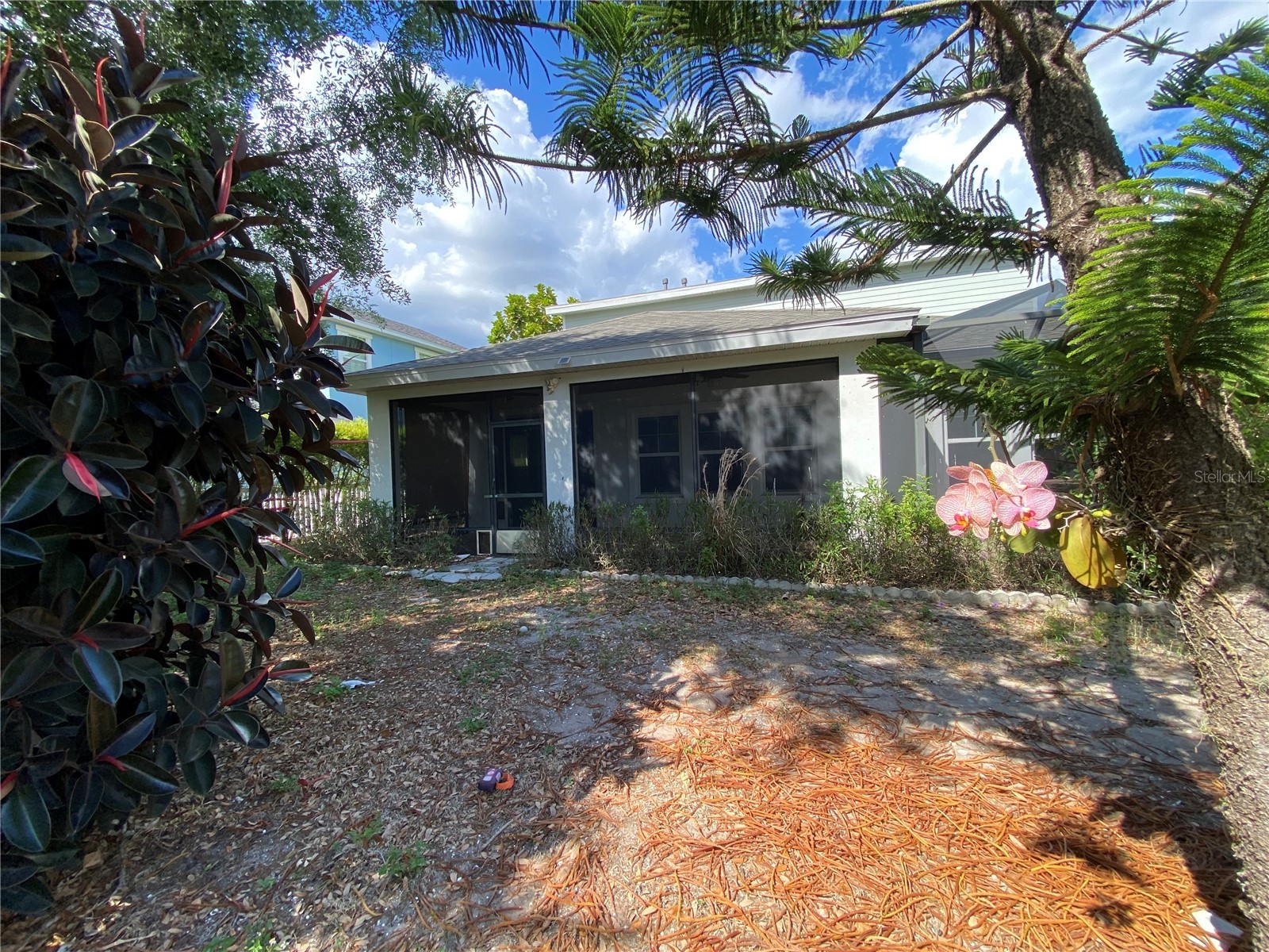 532 Manns Harbor Drive Apollo Beach FL 33572 P4938345 image28