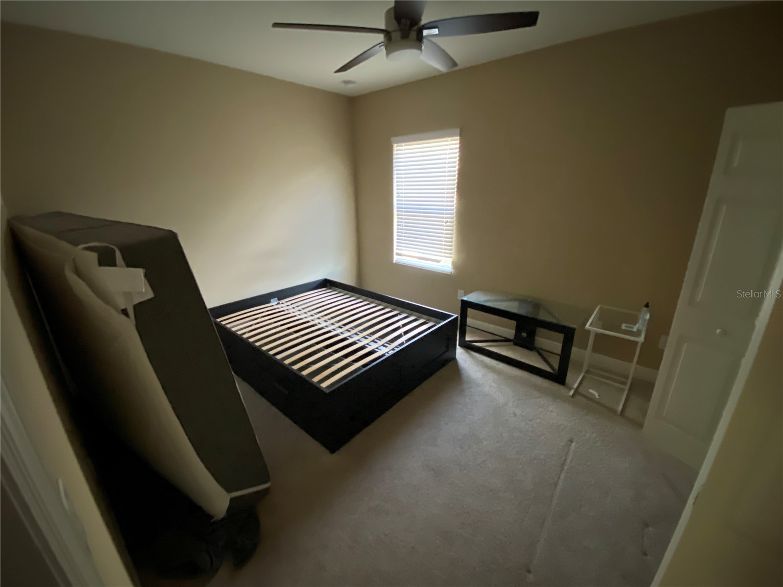 532 Manns Harbor Drive Apollo Beach FL 33572 P4938345 image34