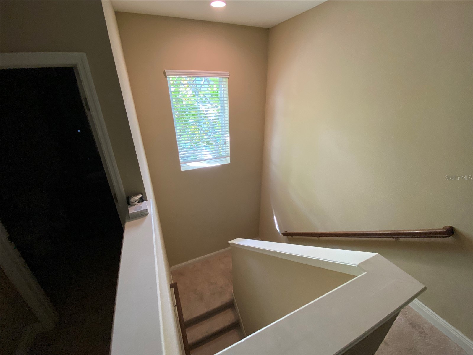 532 Manns Harbor Drive Apollo Beach FL 33572 P4938345 image36