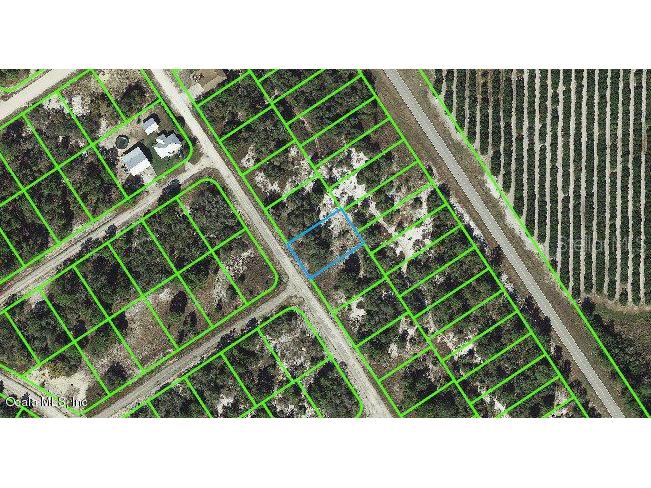 532 Morningside Drive Lake Placid FL 33852 OM542128 image1