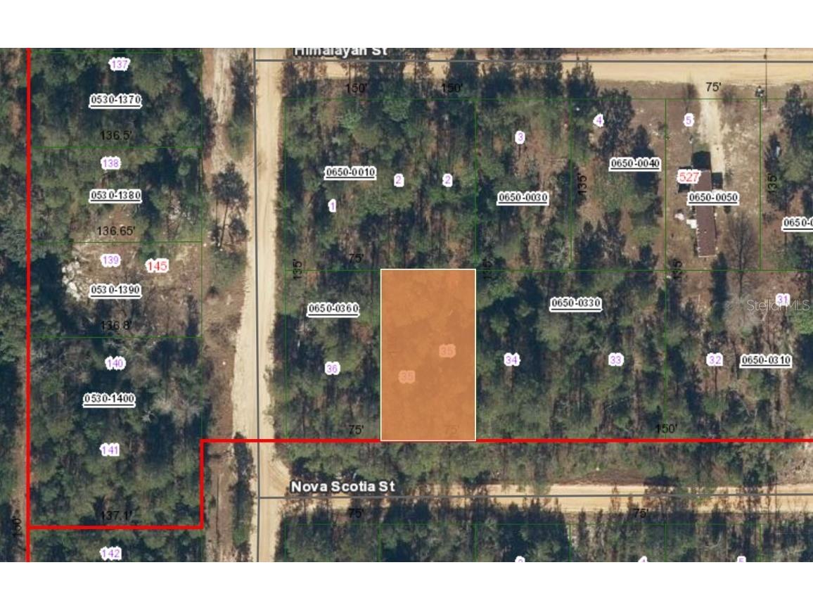 532 Nova Scotia Street Interlachen FL 32148 OM699798 image1