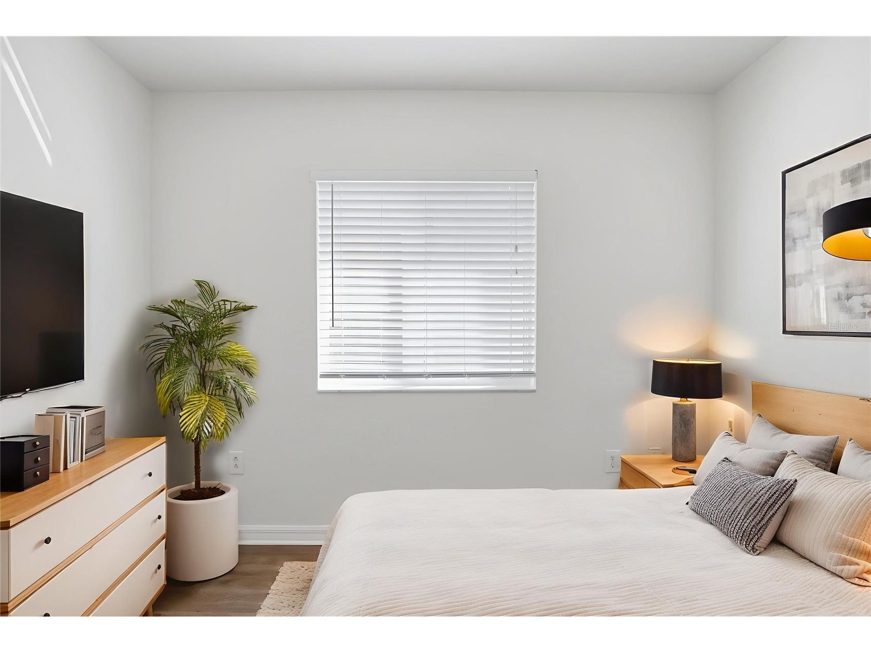 532 Scarlet Maple Court Plant City FL 33563 O6381567 image7