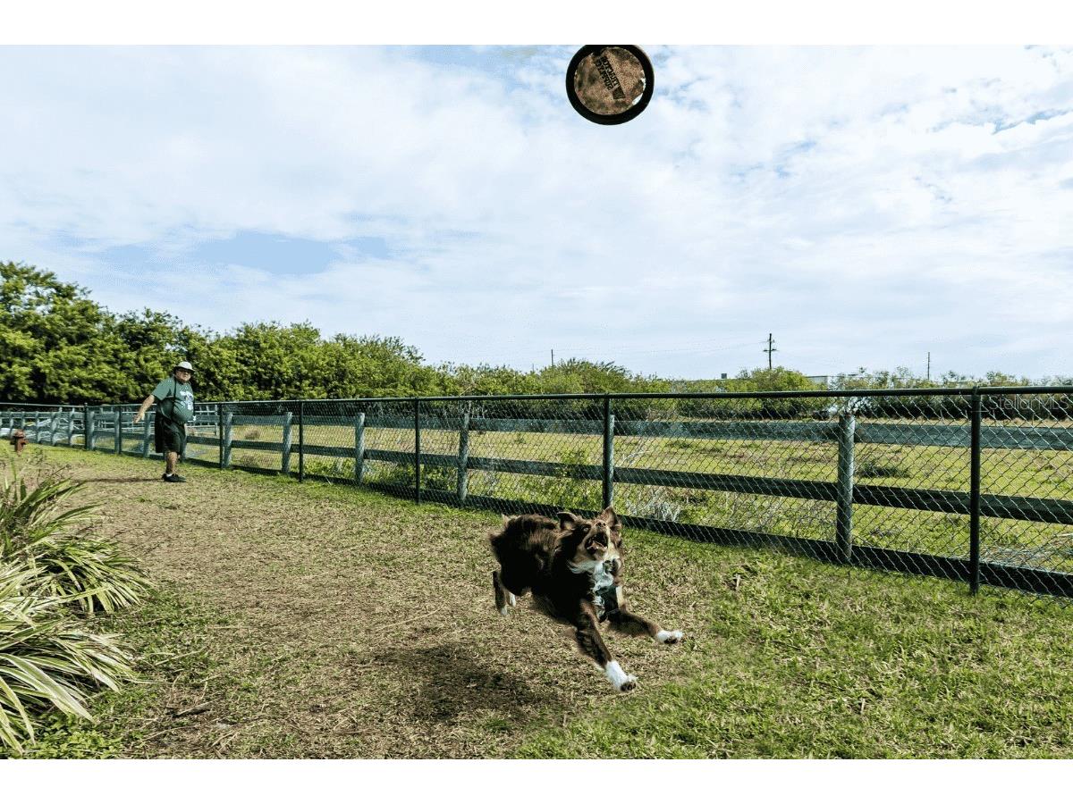 532 SW 38th Trace Okeechobee FL 34974 K4903264 image38