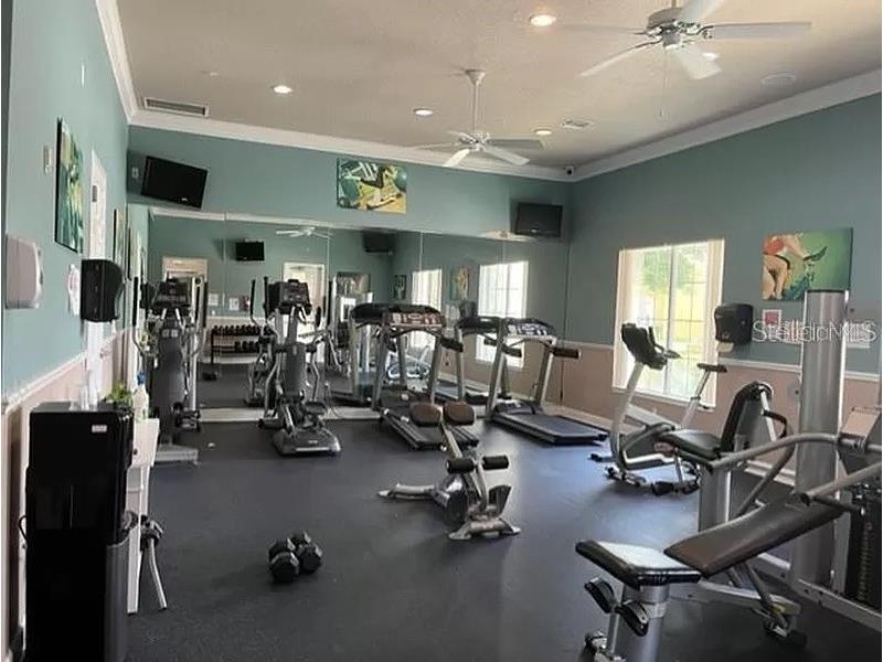 532 Viola Drive, Davenport, FL, 33837 MLS P4930591 Edina Realty