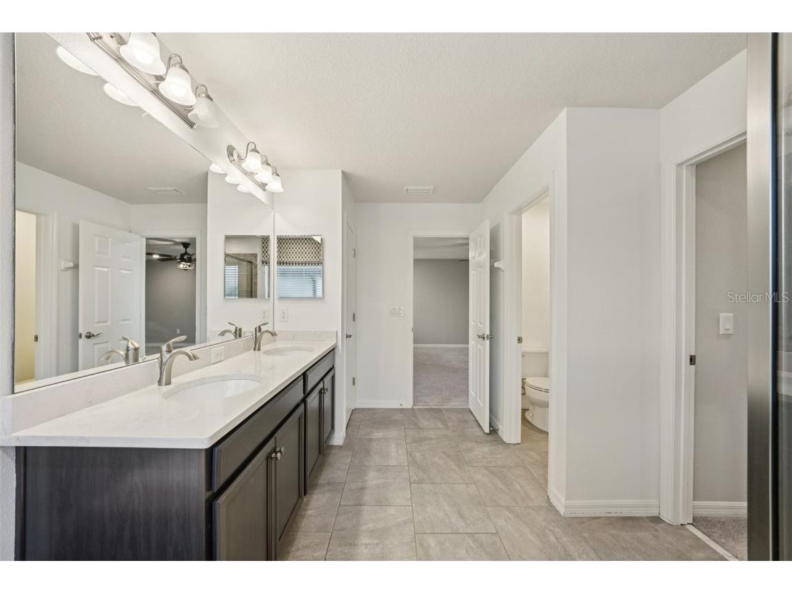 5320 Little Stream Lane Wesley Chapel FL 33545 TB8448903 image27