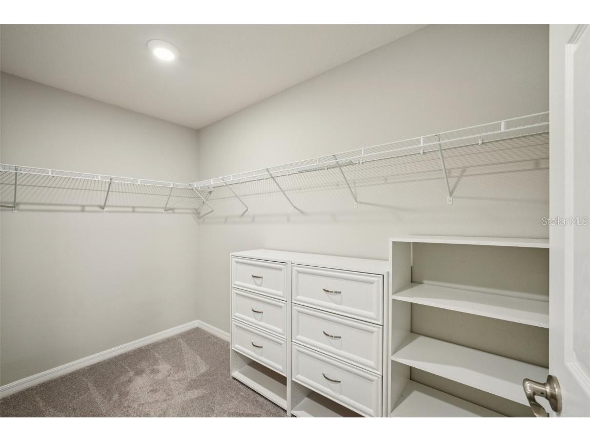 5320 Little Stream Lane Wesley Chapel FL 33545 TB8448903 image28