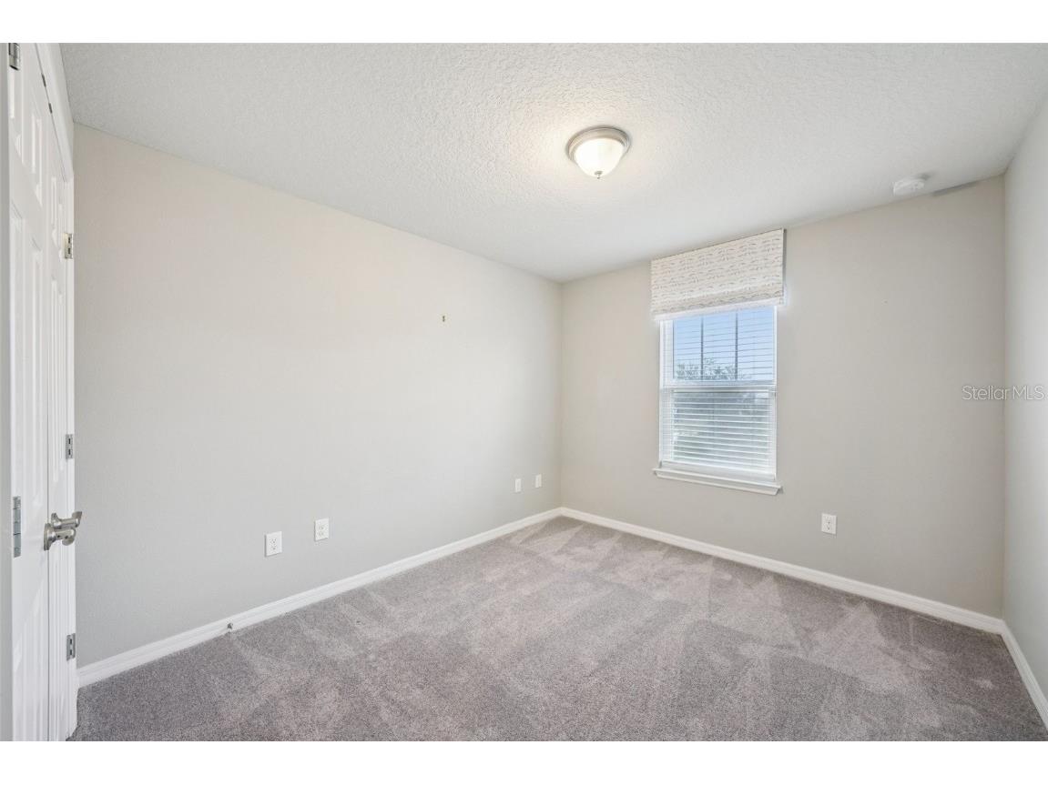 5320 Little Stream Lane Wesley Chapel FL 33545 TB8448903 image30