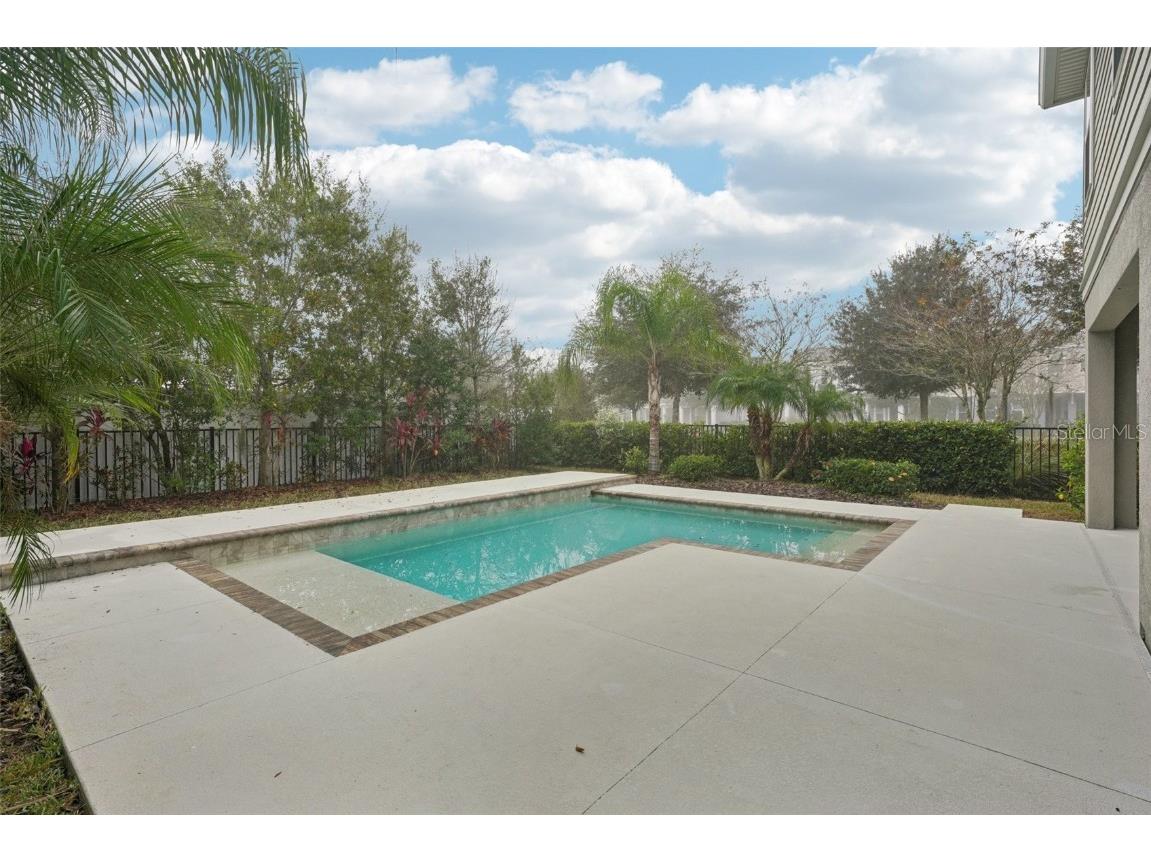 5320 Little Stream Lane Wesley Chapel FL 33545 TB8448903 image38