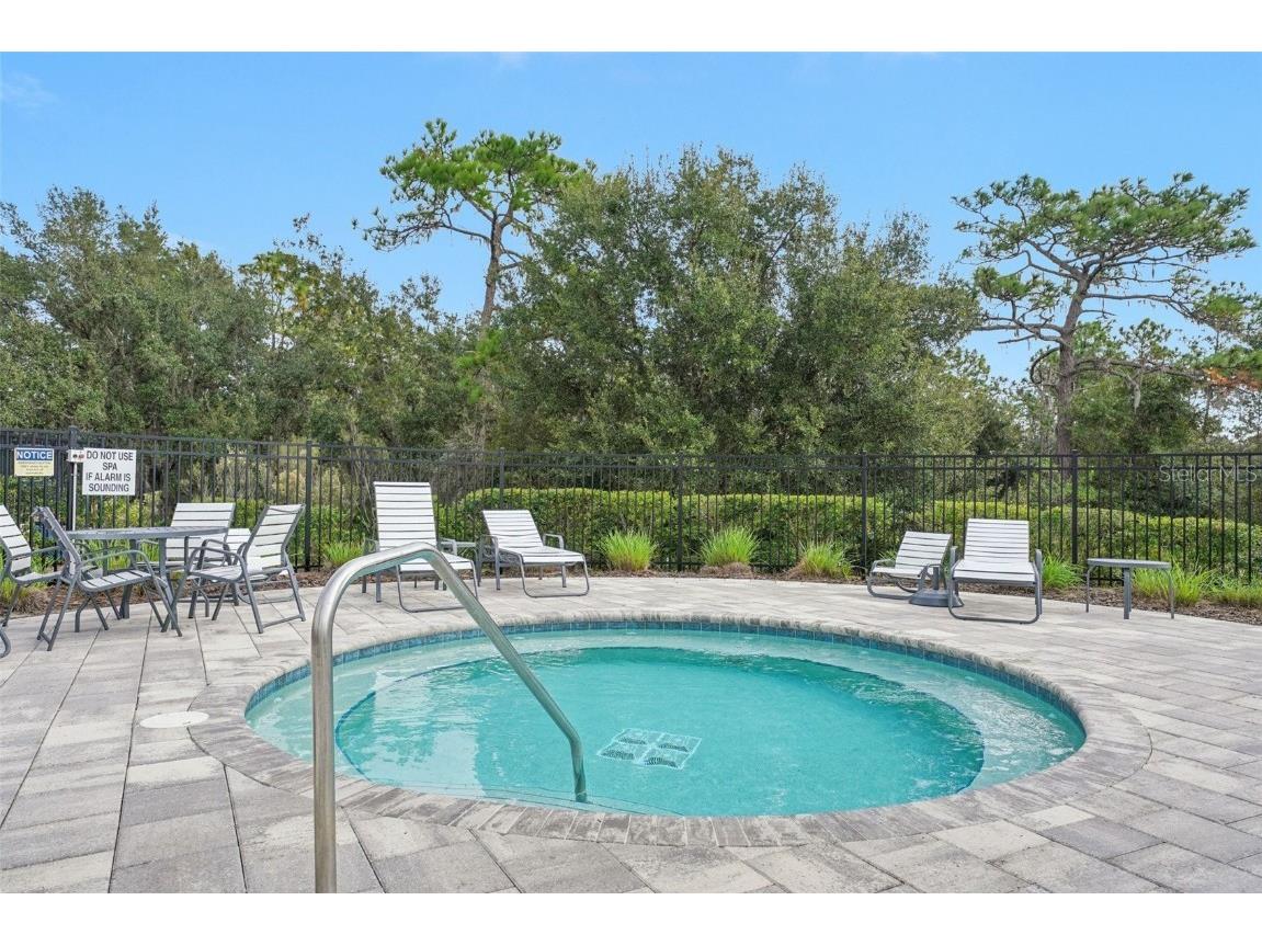 5320 Little Stream Lane Wesley Chapel FL 33545 TB8448903 image46