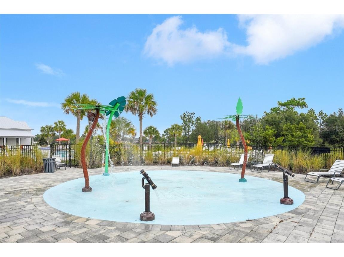 5320 Little Stream Lane Wesley Chapel FL 33545 TB8448903 image47