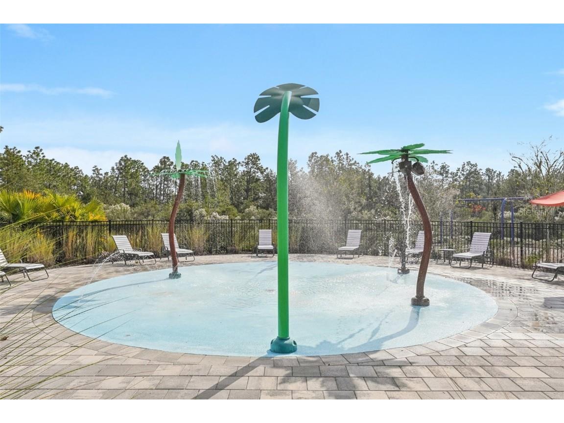 5320 Little Stream Lane Wesley Chapel FL 33545 TB8448903 image48