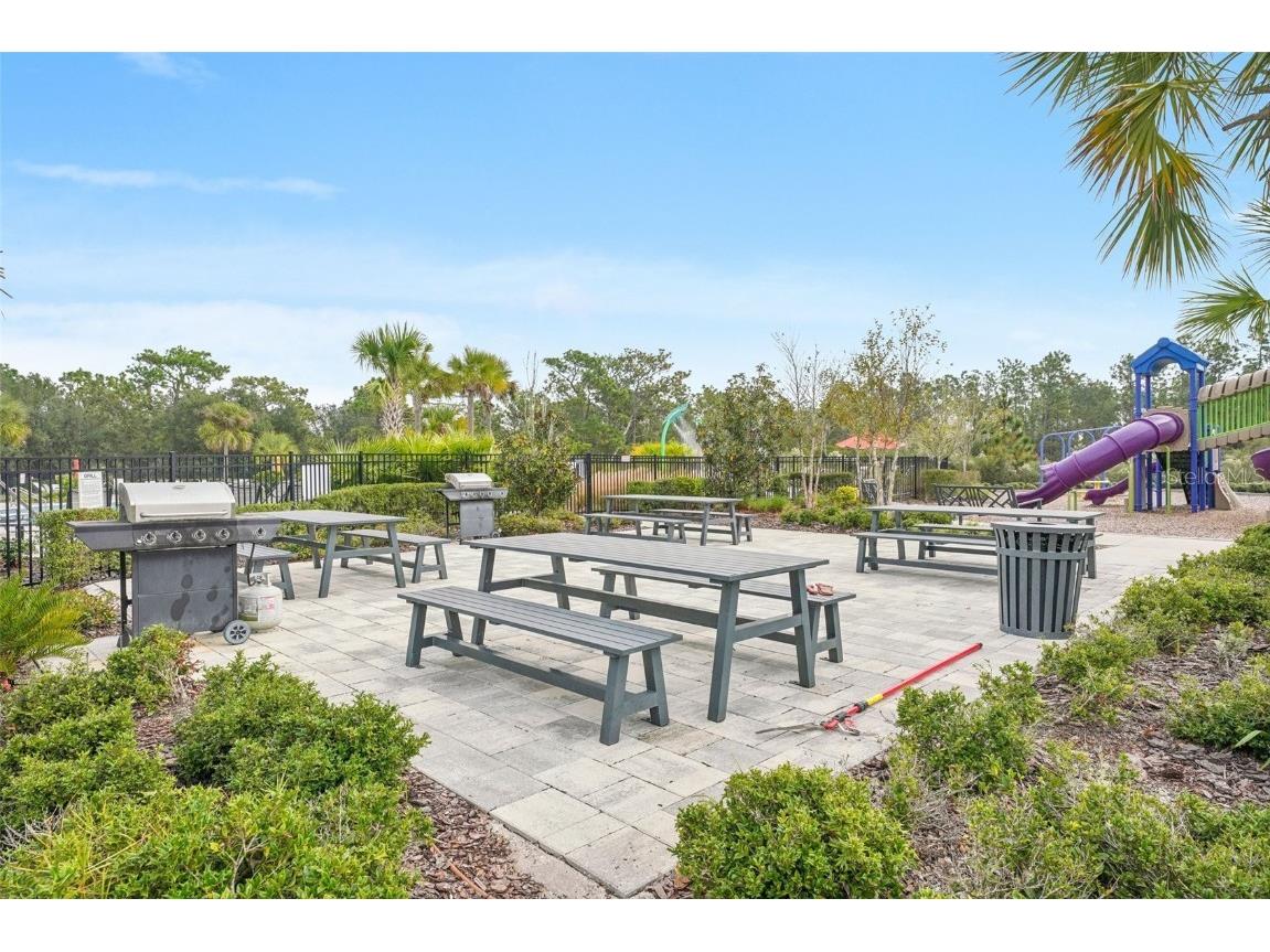 5320 Little Stream Lane Wesley Chapel FL 33545 TB8448903 image49