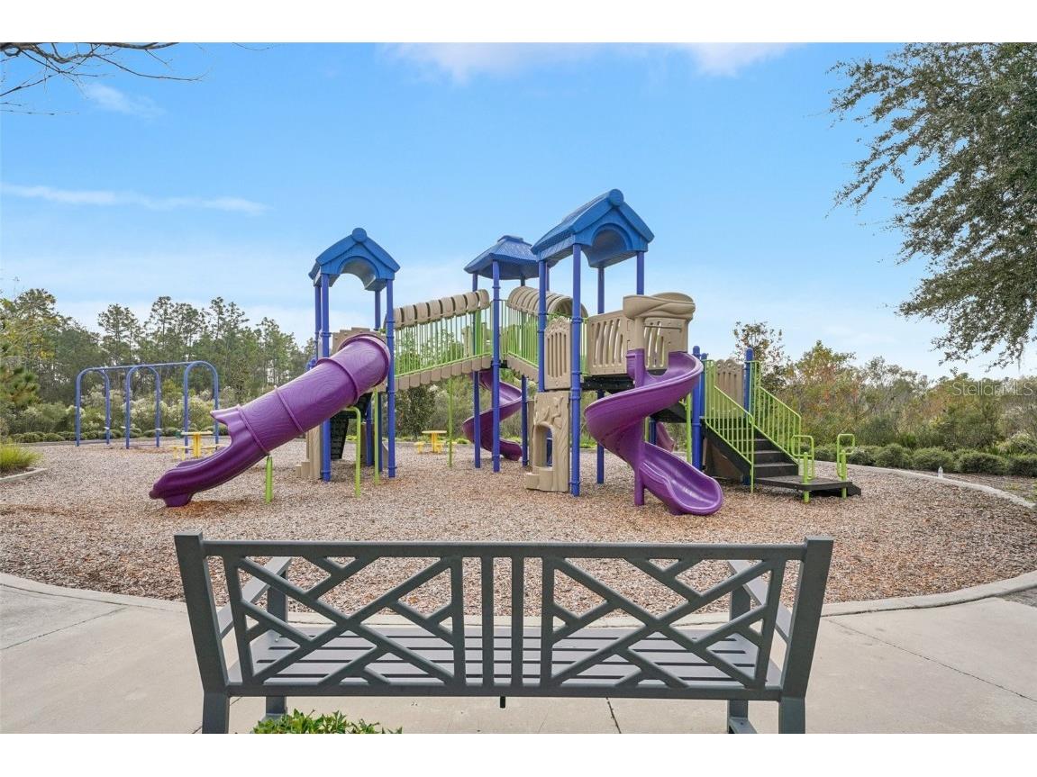 5320 Little Stream Lane Wesley Chapel FL 33545 TB8448903 image50