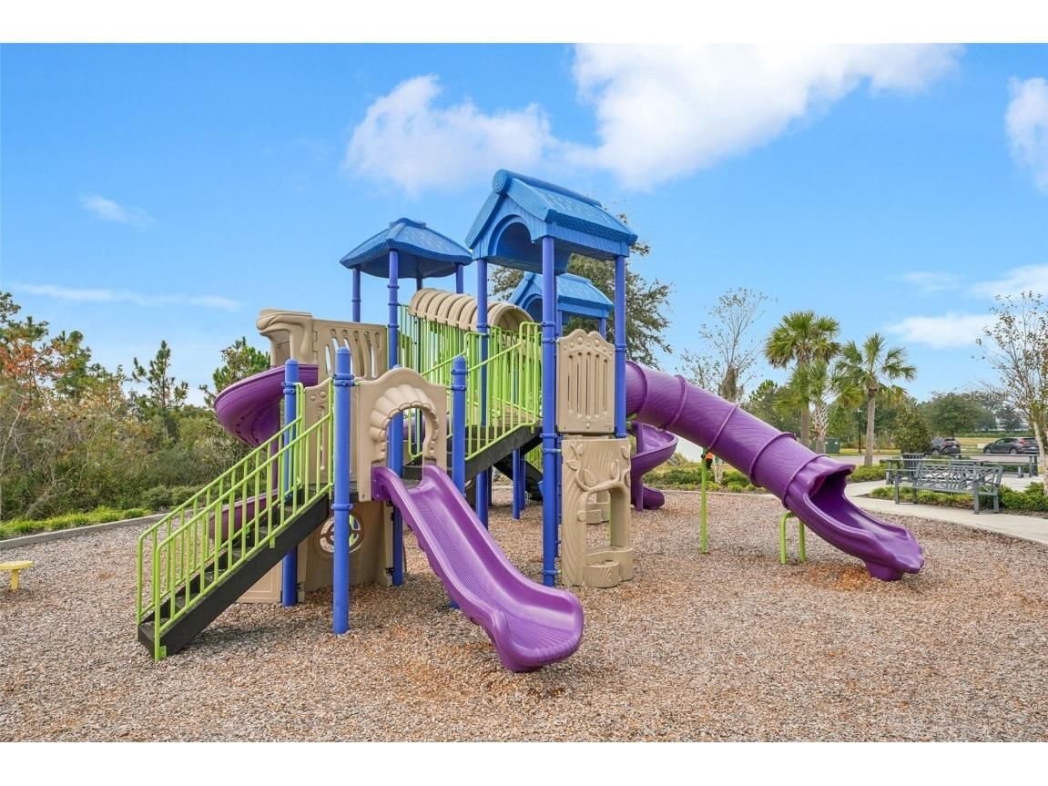 5320 Little Stream Lane Wesley Chapel FL 33545 TB8448903 image51