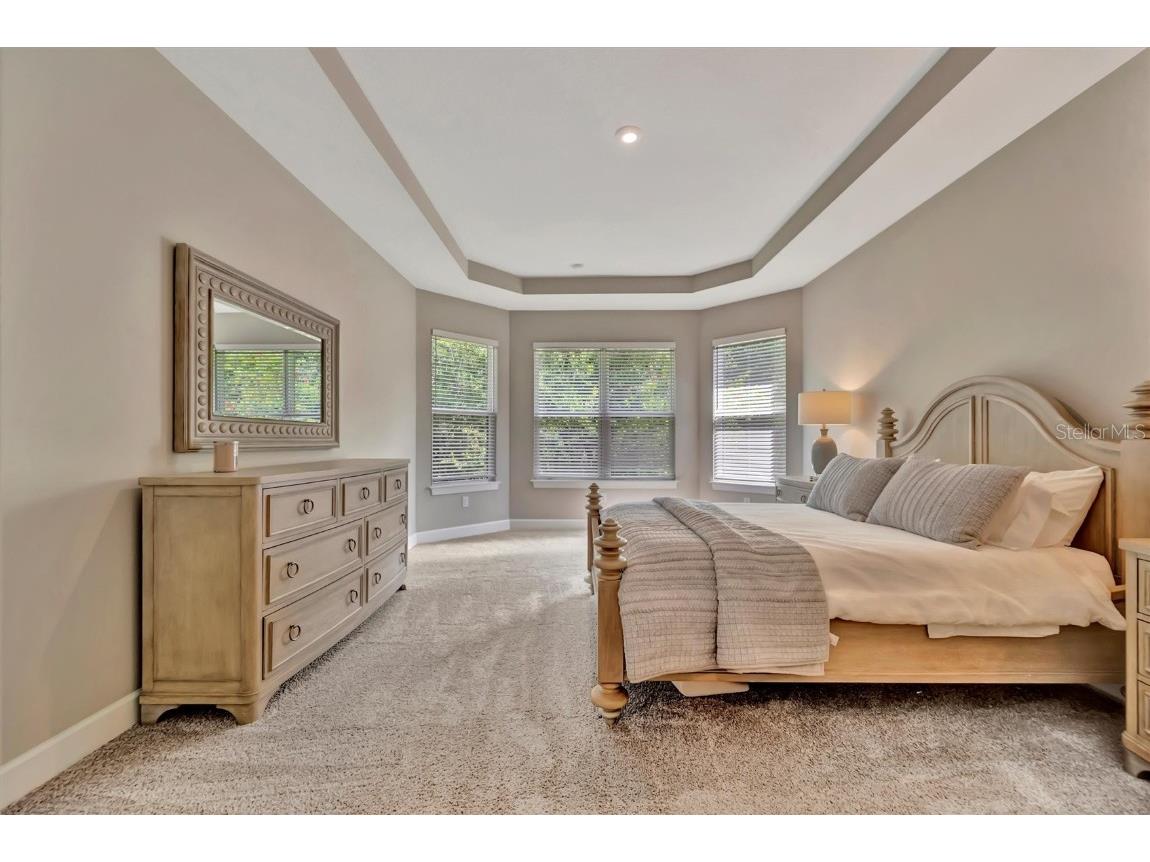 5320 Morey Farms Loop Palmetto FL 34221 TB8400461 image32