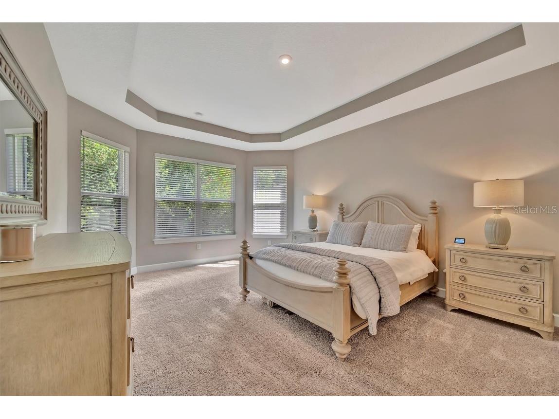 5320 Morey Farms Loop Palmetto FL 34221 TB8400461 image33