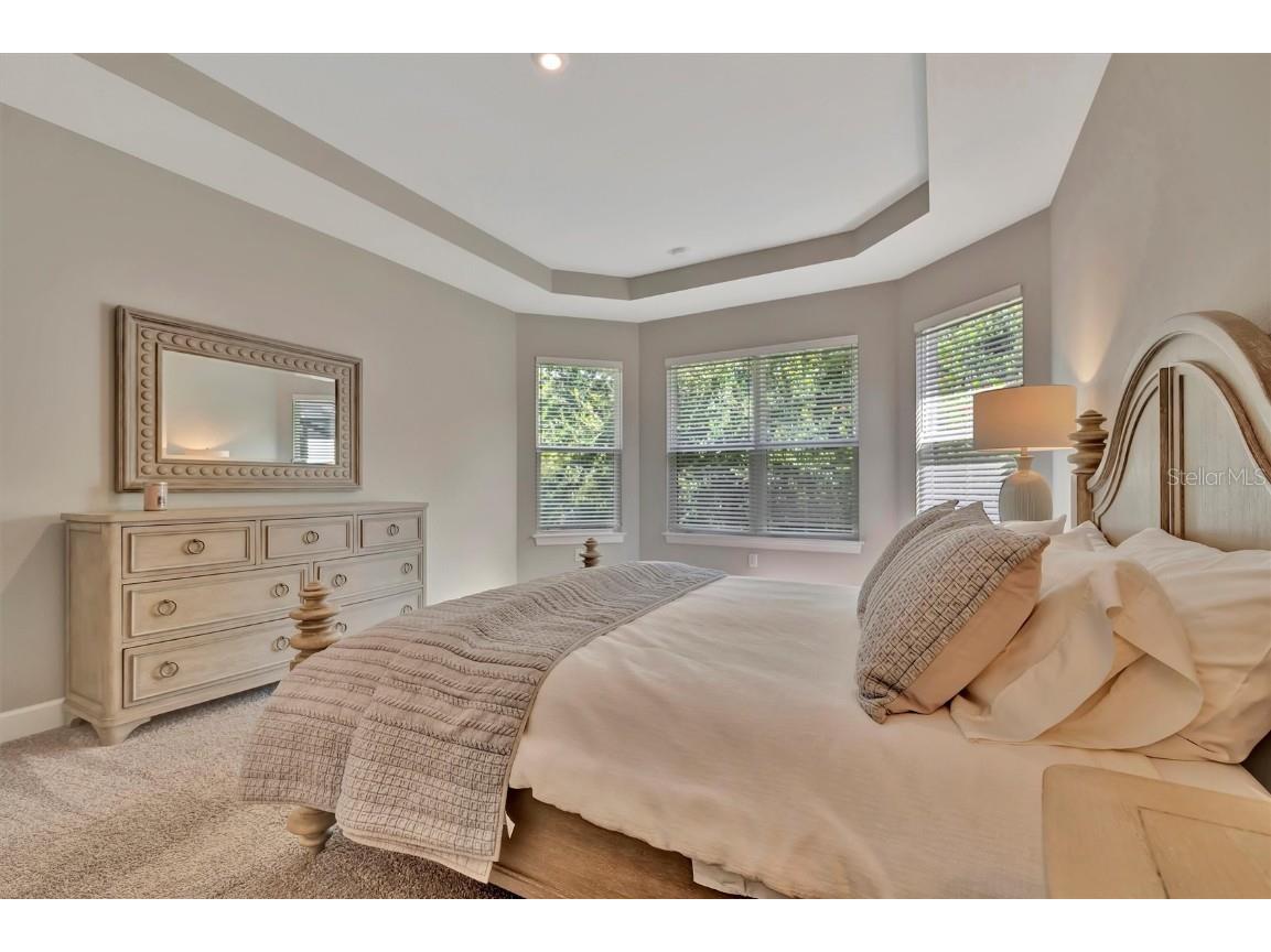 5320 Morey Farms Loop Palmetto FL 34221 TB8400461 image34