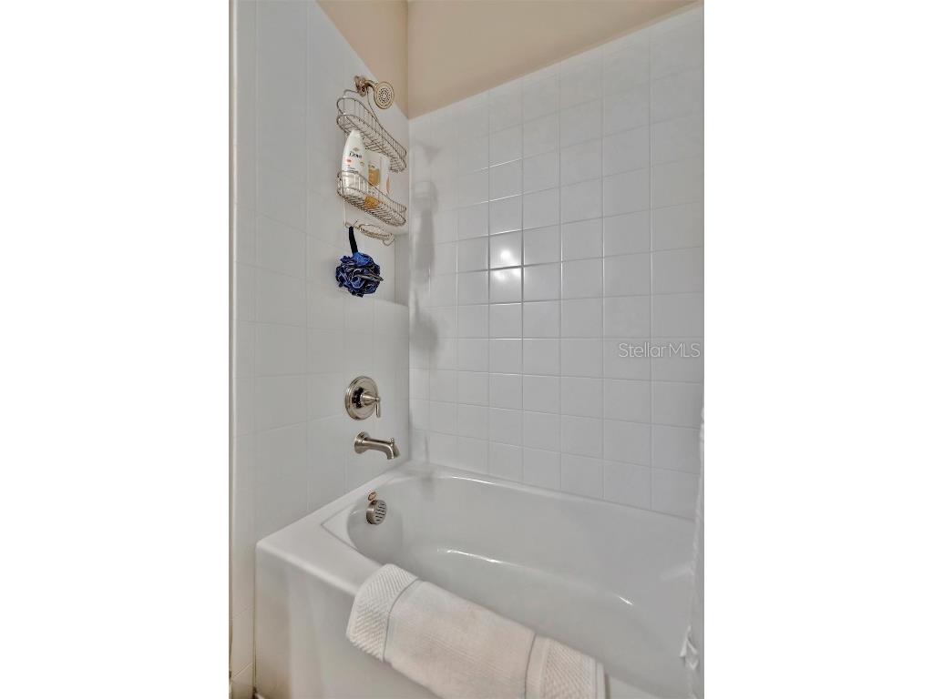 5320 Morey Farms Loop Palmetto FL 34221 TB8400461 image42