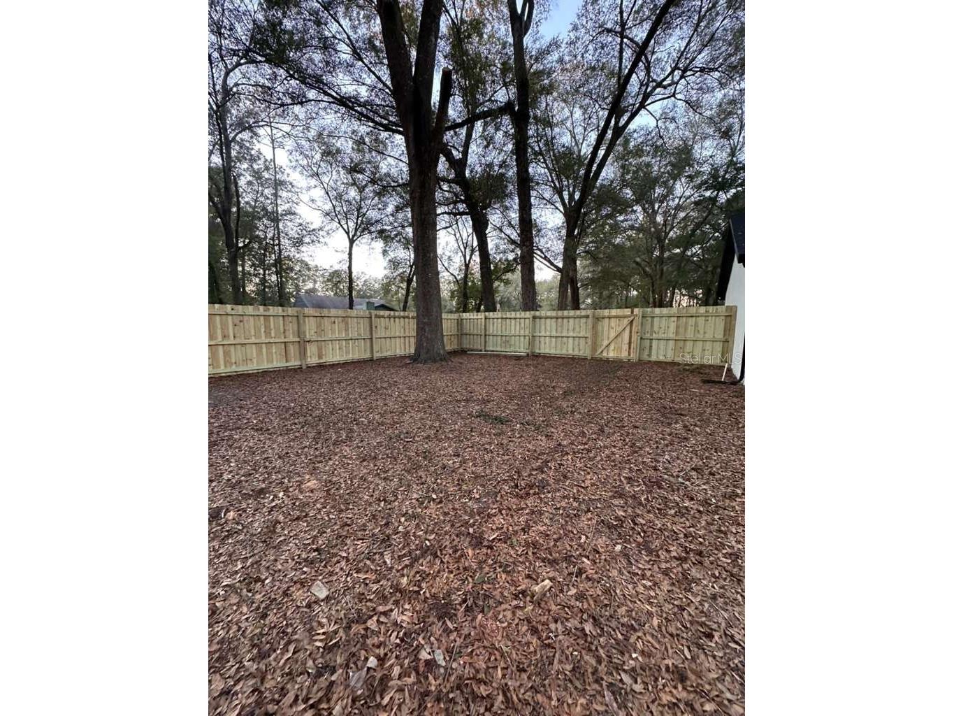 5320 NE 2nd Lane Ocala FL 34470 S5142247 image61