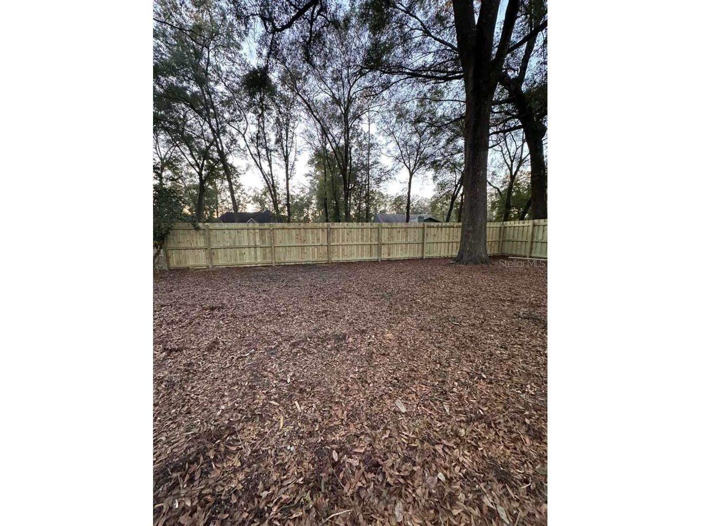 5320 NE 2nd Lane Ocala FL 34470 S5142247 image62