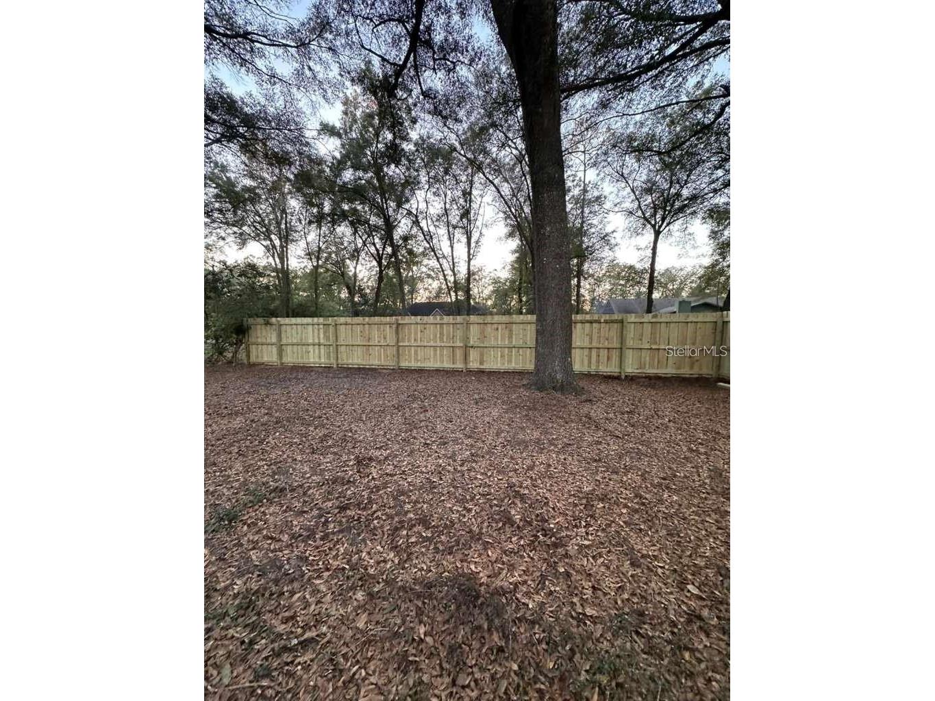 5320 NE 2nd Lane Ocala FL 34470 S5148001 image60