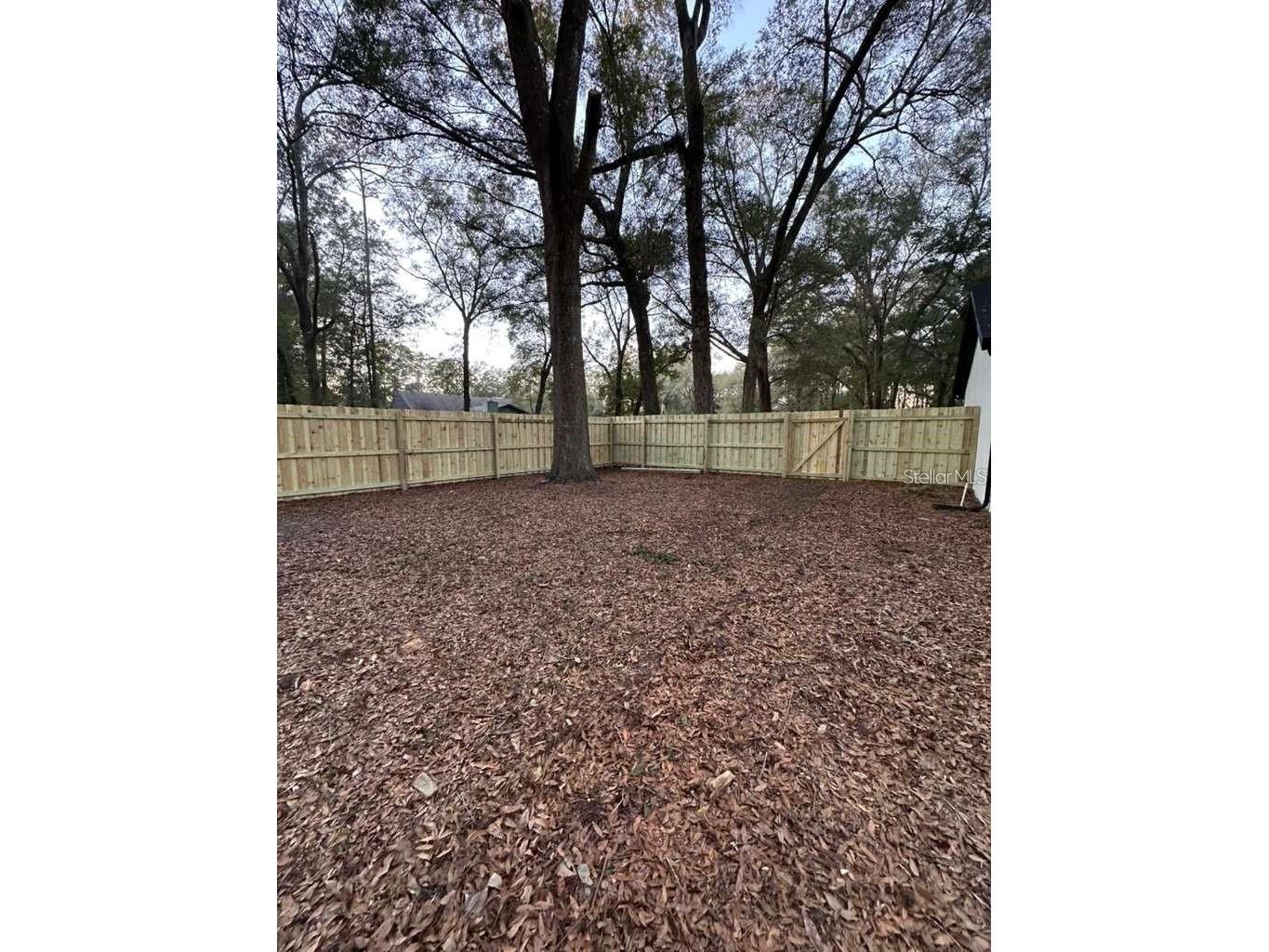 5320 NE 2nd Lane Ocala FL 34470 S5148001 image61