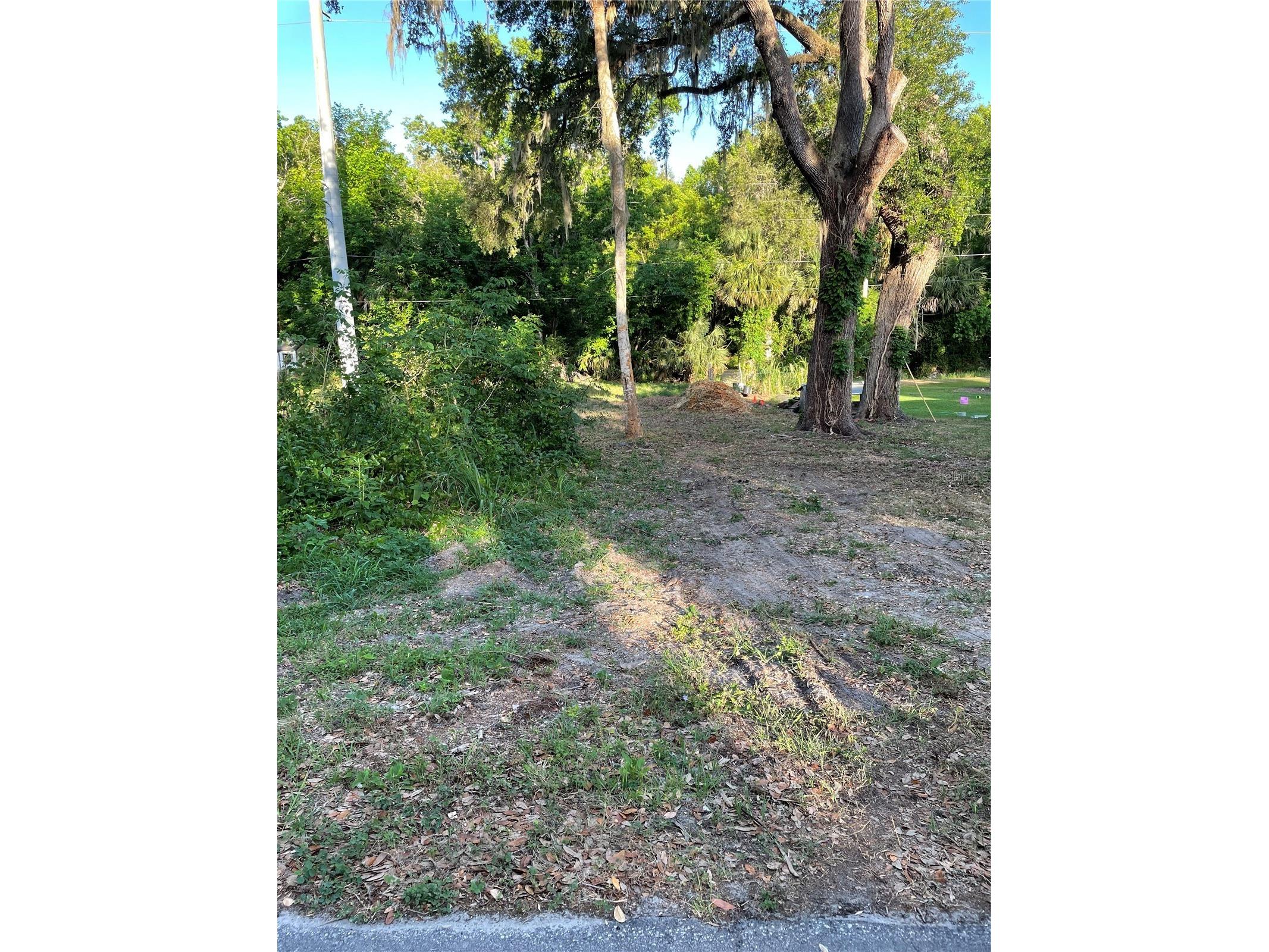5320 Park Avenue De Leon Springs FL 32130 V4947023 image1