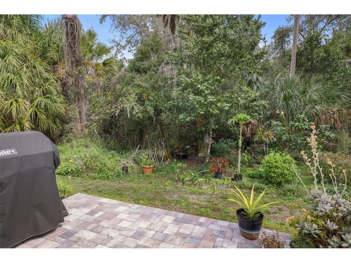 5320 Riverwalk Preserve Drive New Port Richey FL 34653 - COTEE RIVER TB8449776 image49