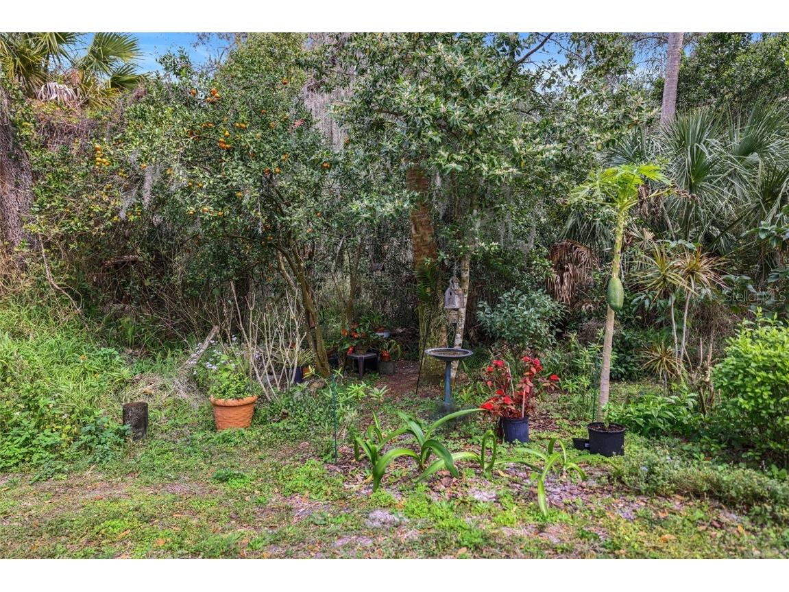 5320 Riverwalk Preserve Drive New Port Richey FL 34653 - COTEE RIVER TB8449776 image50