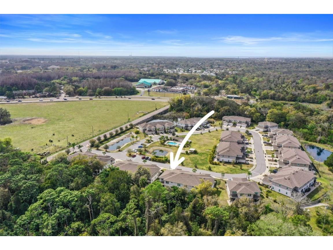 5320 Riverwalk Preserve Drive New Port Richey FL 34653 - COTEE RIVER TB8449776 image55