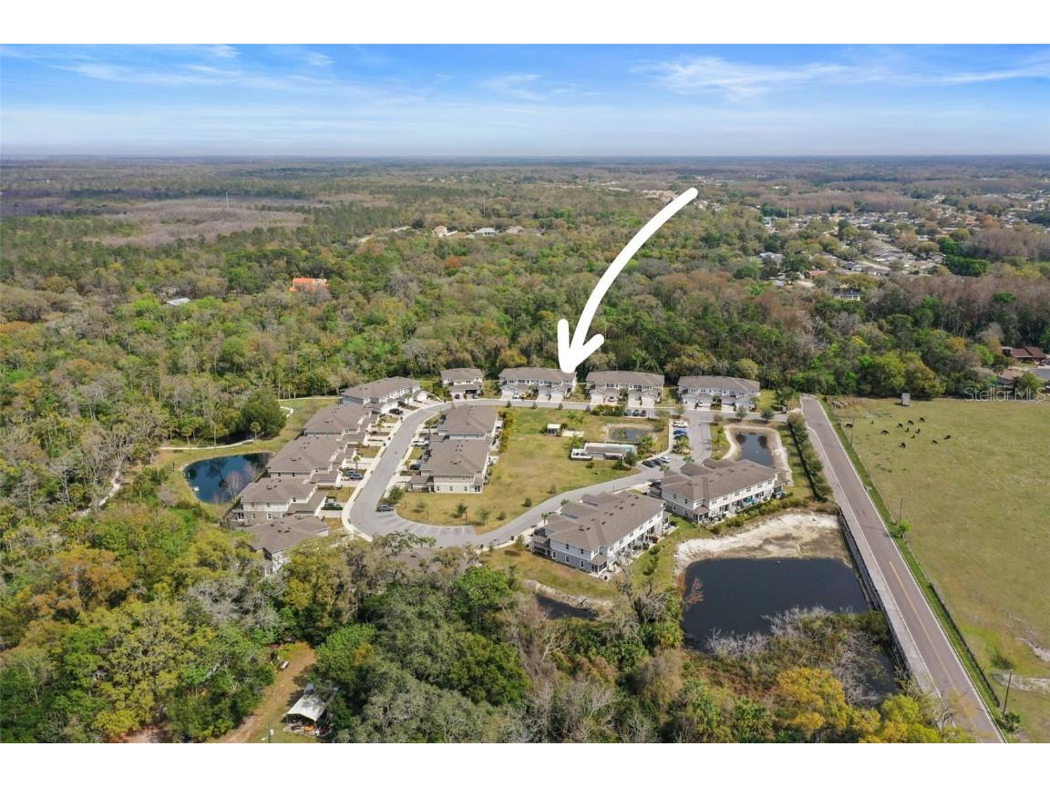 5320 Riverwalk Preserve Drive New Port Richey FL 34653 - COTEE RIVER TB8449776 image56