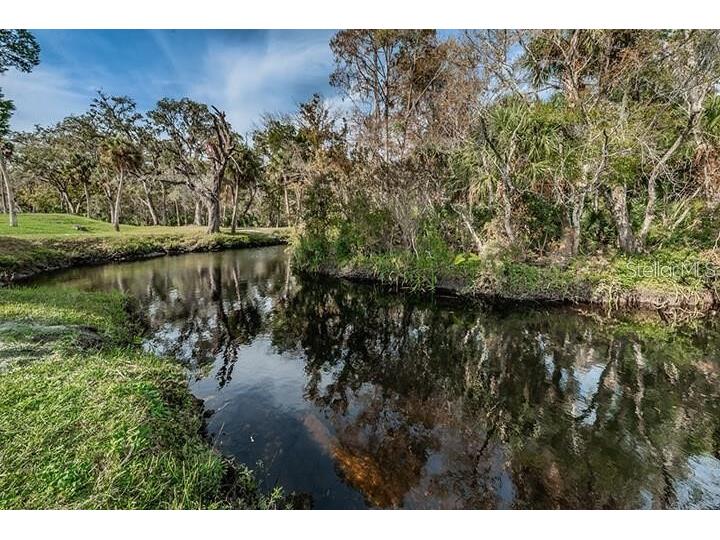 5320 Riverwalk Preserve Drive New Port Richey FL 34653 - COTEE RIVER TB8449776 image65