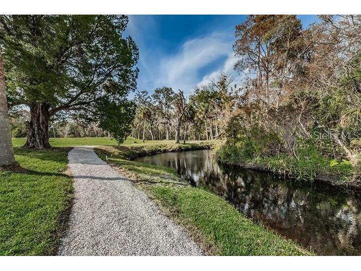 5320 Riverwalk Preserve Drive New Port Richey FL 34653 - COTEE RIVER TB8449776 image66