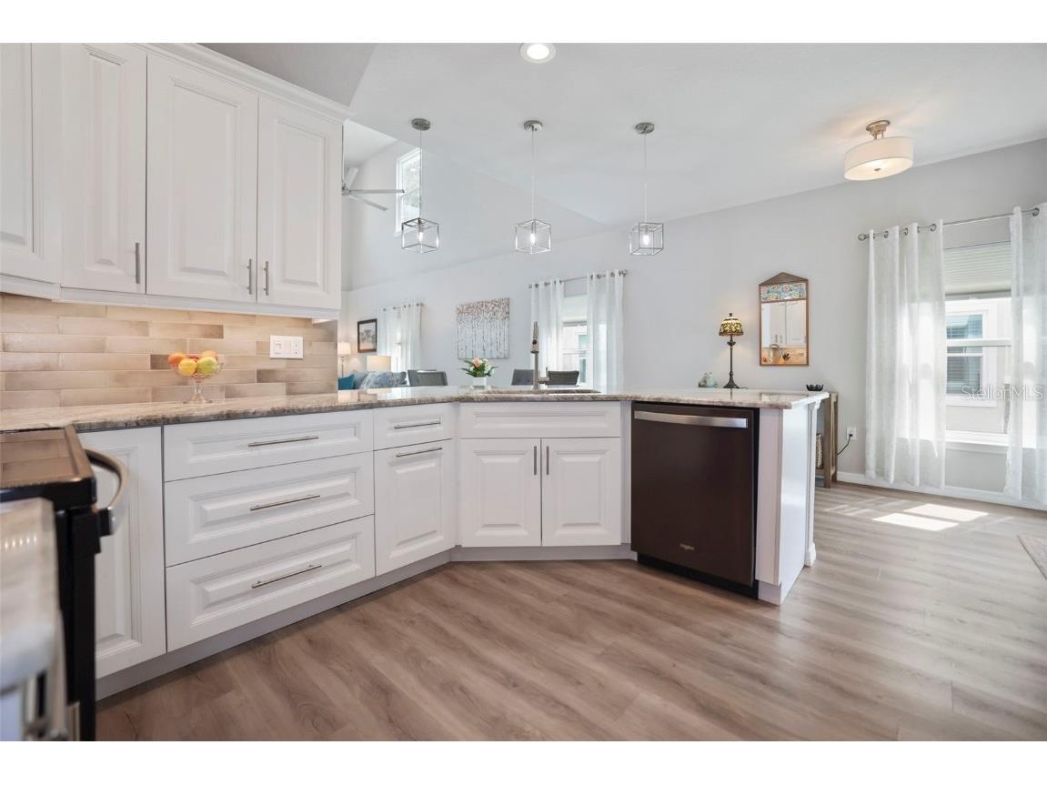 5320 Riverwalk Preserve Drive New Port Richey FL 34653 - COTEE RIVER TB8449776 image7