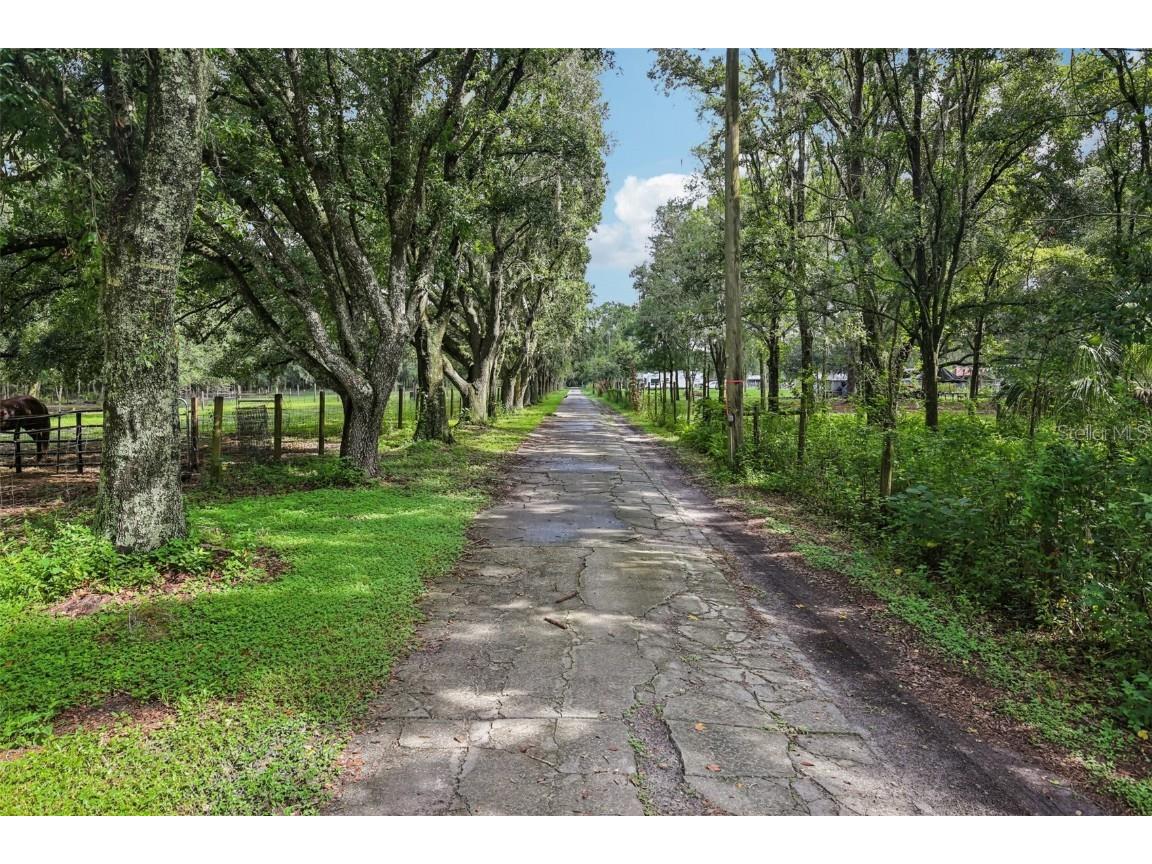 5321 Bruton Road Plant City FL 33565 TB8396849 image27