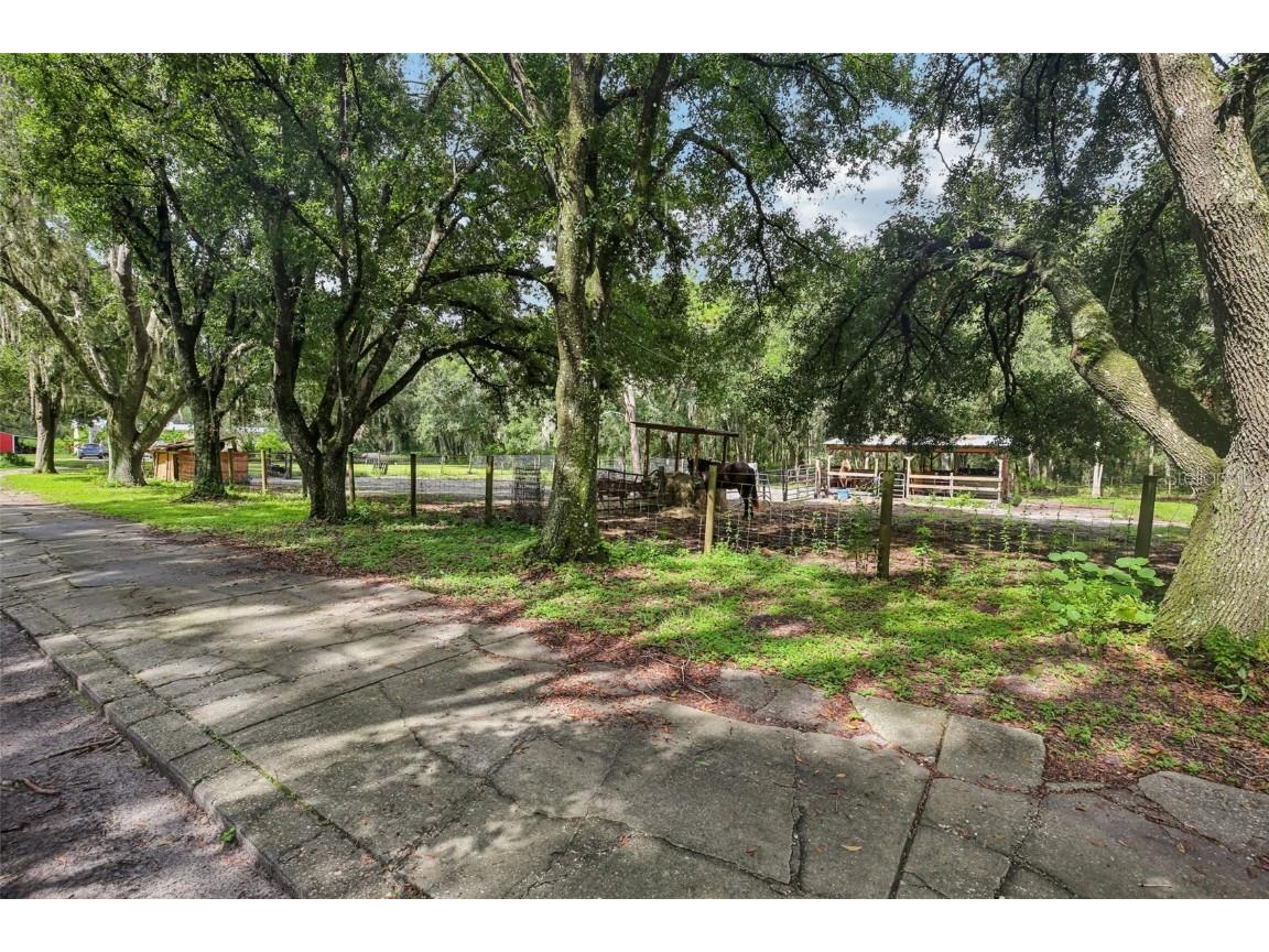 5321 Bruton Road Plant City FL 33565 TB8396849 image28