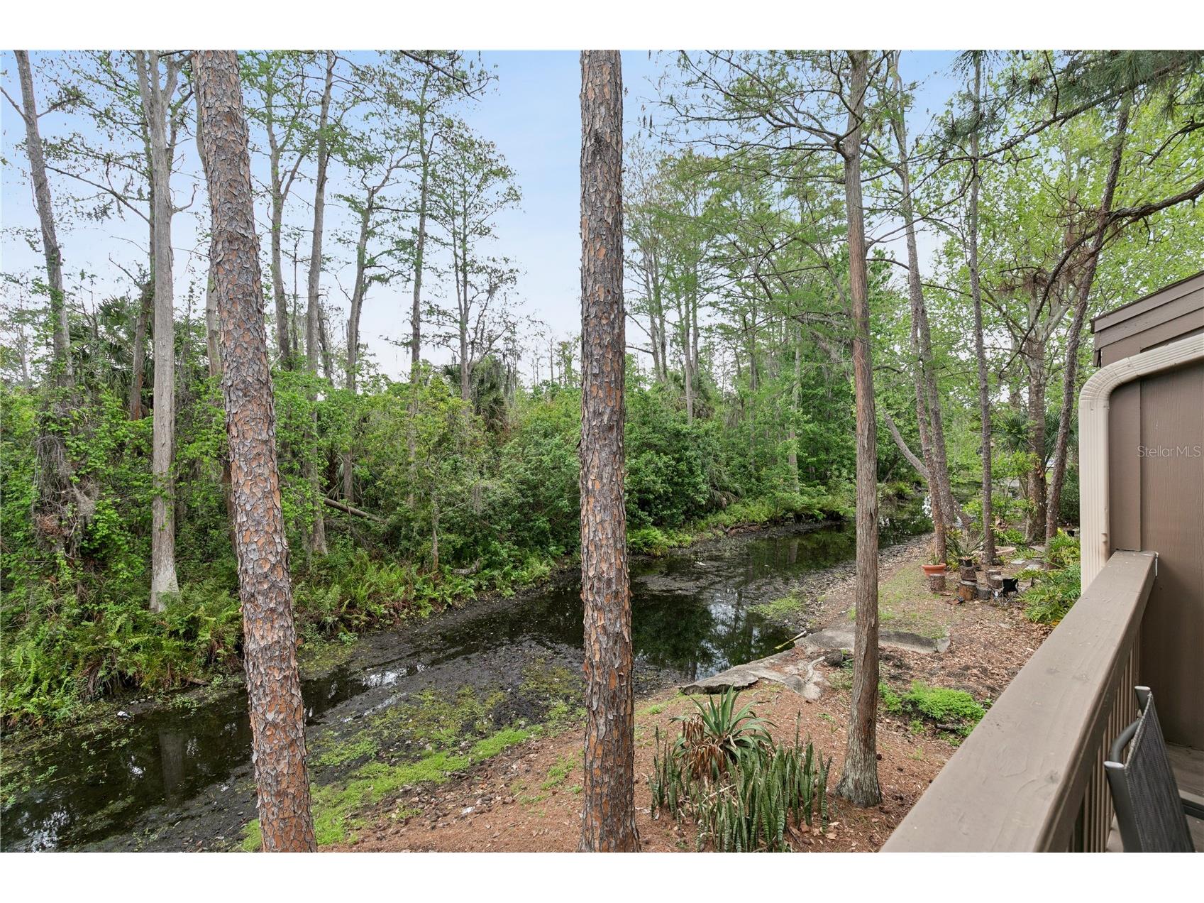 5321 Indian Creek Drive #D Orlando FL 32811 O6396164 image35