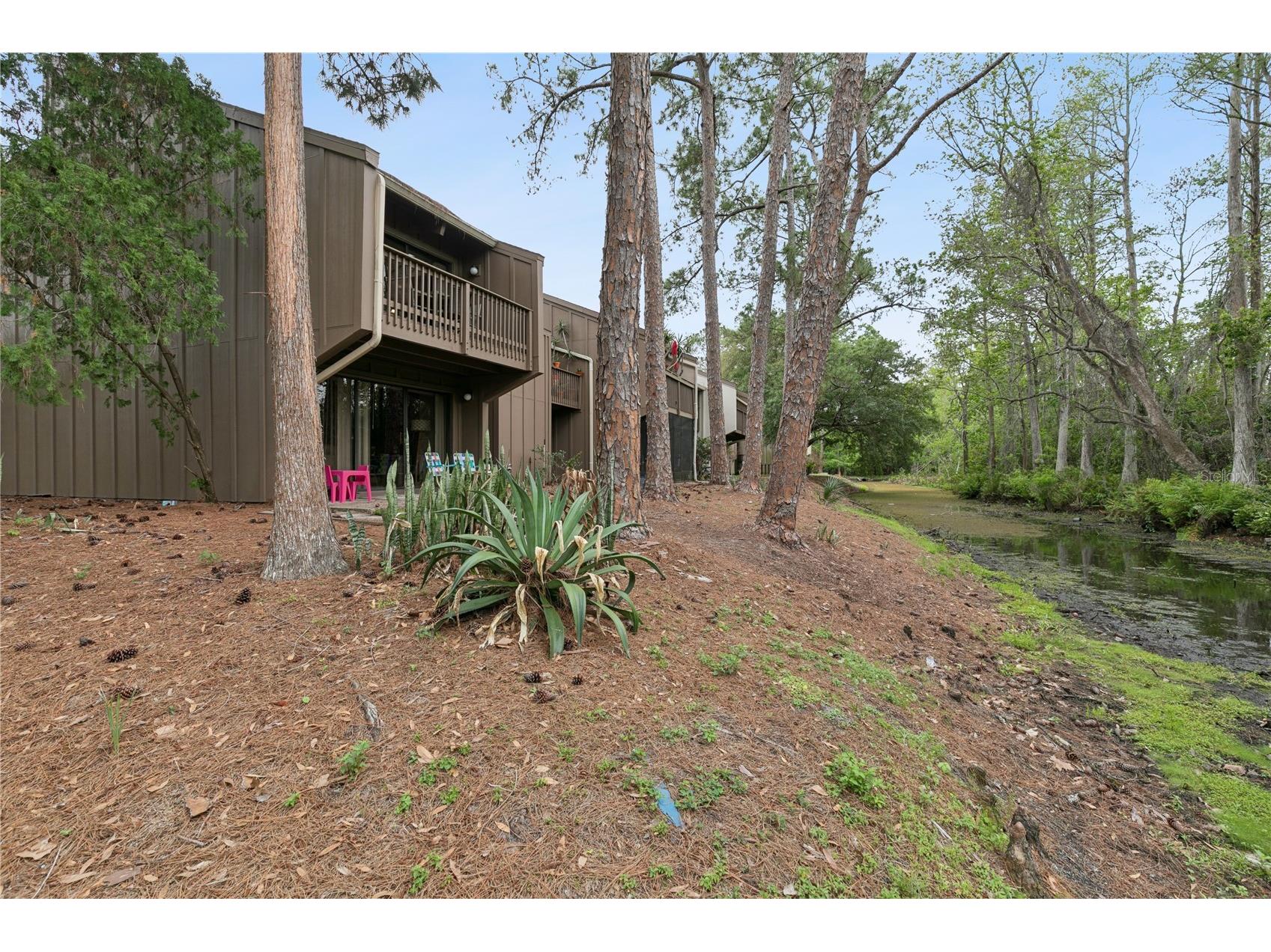 5321 Indian Creek Drive #D Orlando FL 32811 O6396164 image37