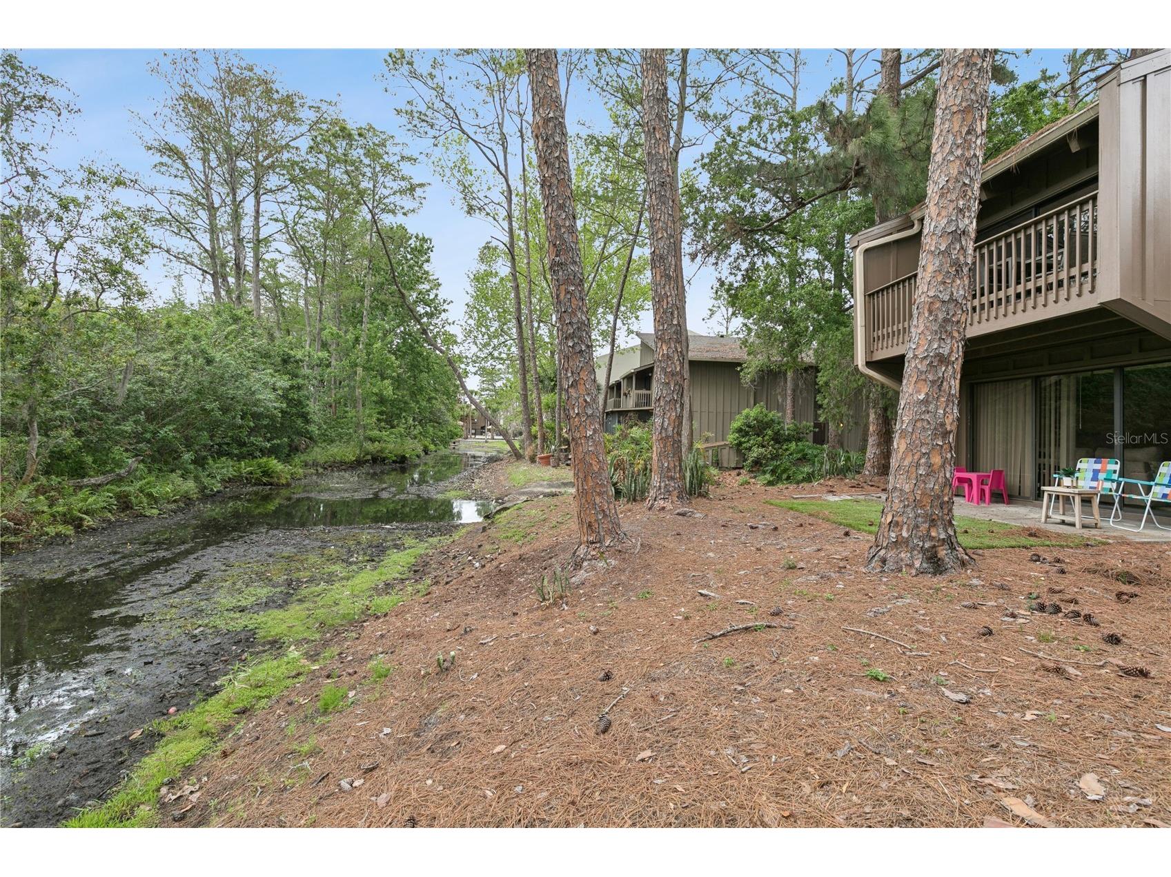 5321 Indian Creek Drive #D Orlando FL 32811 O6396164 image38