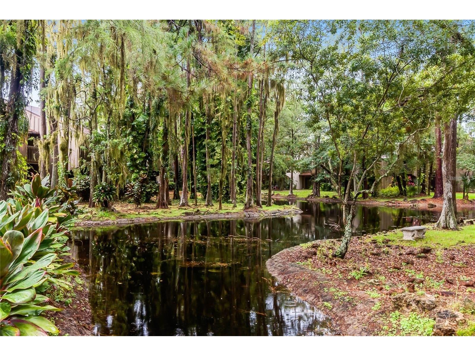 5321 Indian Creek Drive #D Orlando FL 32811 O6396164 image39