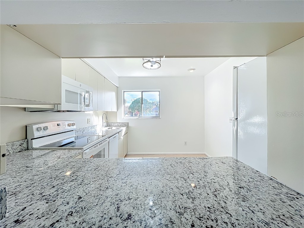 5321 Williamsport Drive Orlando FL 32821 O6358740 image20