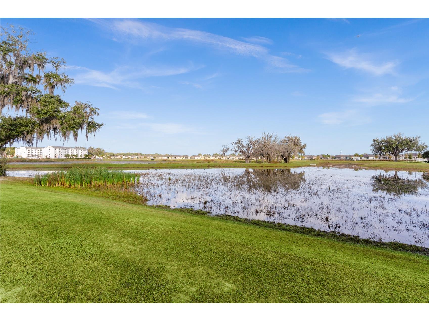 5322 Dragon Fly Drive Wildwood FL 34785 G5108783 image15