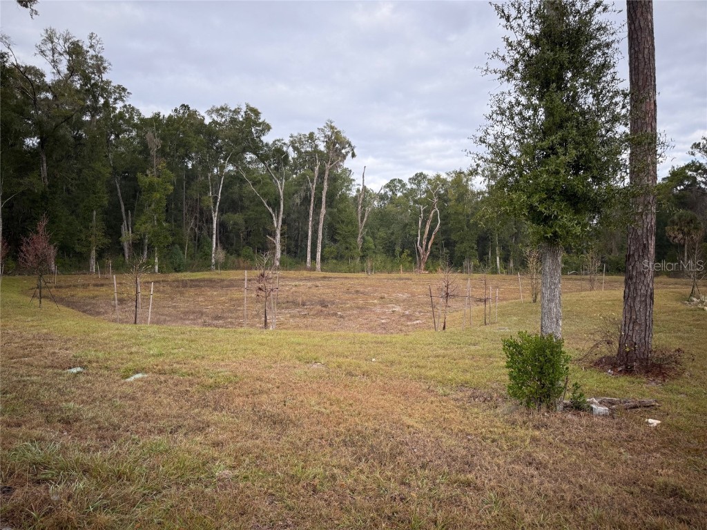 5322 SW 52nd Court Gainesville FL 32608 GC536335 image27