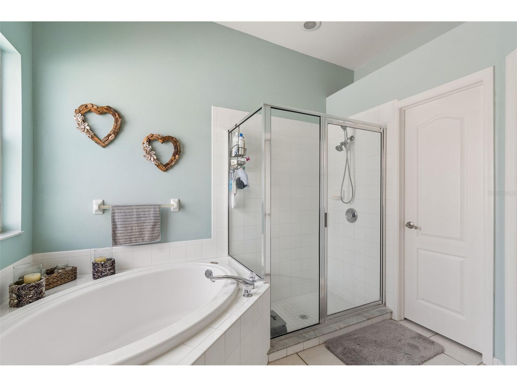 5323 Bold Venture Place Wesley Chapel FL 33544 TB8487835 image36