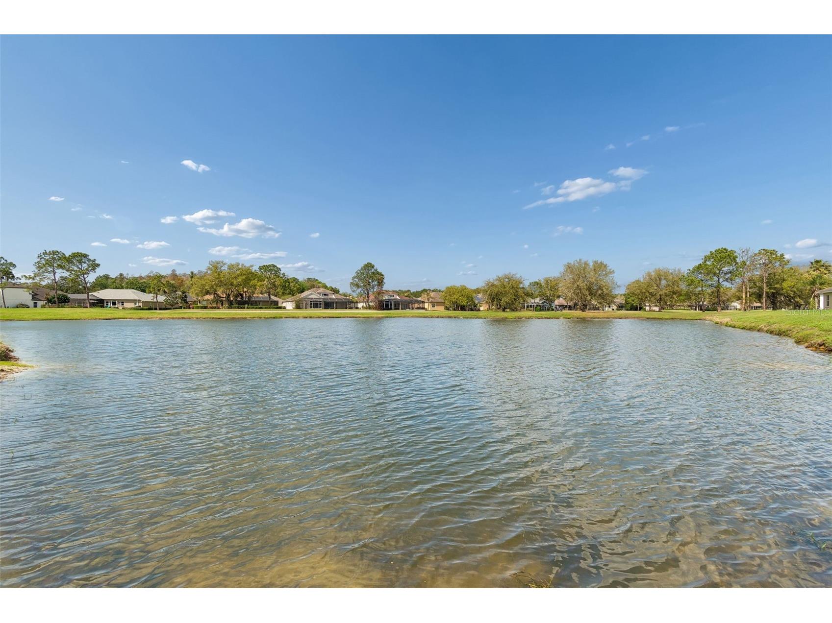 5323 Bold Venture Place Wesley Chapel FL 33544 TB8487835 image46