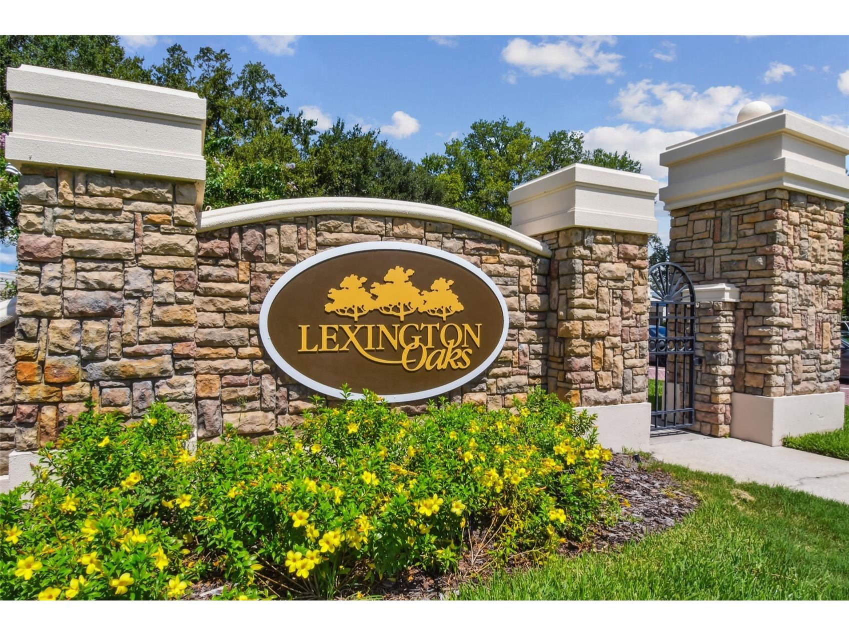 5323 Bold Venture Place Wesley Chapel FL 33544 TB8487835 image55